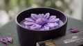 Lavender Bloom Candle